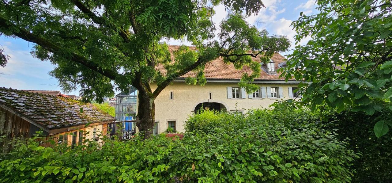 Blue Wall Bnb Bed & Breakfast 4*
